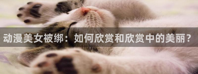 动漫在线入口:动漫美女被绑:如何欣赏和欣赏中的美丽?