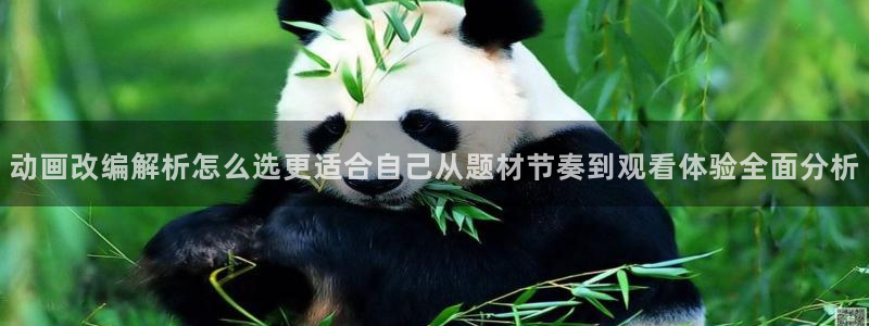 机战动漫：动画改编解析怎么选更适合自己从题材节奏到观看体验全面分析