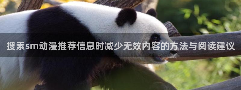 经典动画推荐:搜索sm动漫推荐信息时减少无效内容的方法与阅读建议