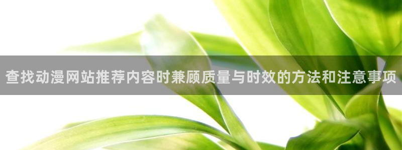 动漫网首页入口：查找动漫网站推荐内容时兼顾质量与时效的方法和注意事项