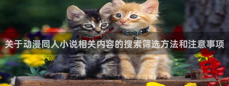 日本动漫网站：关于动漫同人小说相关内容的搜索筛选方法和注意事项