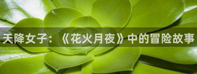 动漫作品搜索:天降女子:《花火月夜》中的冒险故事