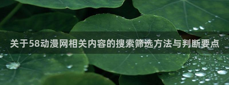 新番动漫大全：关于58动漫网相关内容的搜索筛选方法与判断要点