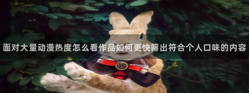 动漫专题页：面对大量动漫热度怎么看作品如何更快筛出符合个人口味的内容