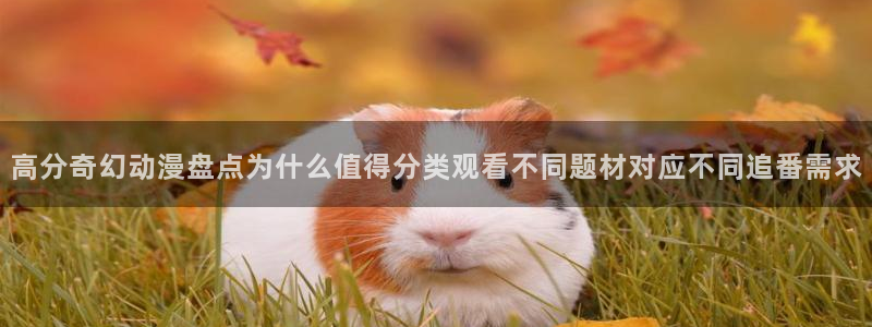 恋爱动漫推荐：高分奇幻动漫盘点为什么值得分类观看不同题材对应不同追番需求